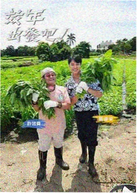 职场变形记 综艺海报